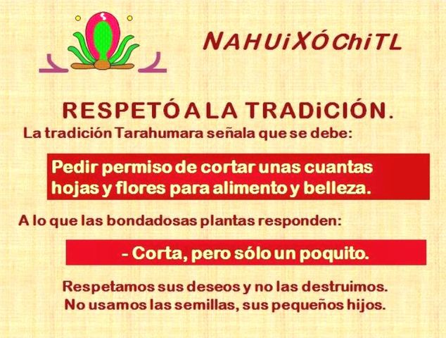 Tradicion